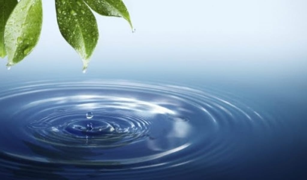 ДЕНСАУЛЫҚҚА ПАЙДАСЫ ДӘЛЕЛДЕНГЕН: АЛМАТЫ ОБЛЫСЫНДАҒЫ ШИПАЛЫ СУ КӨЗДЕРІ