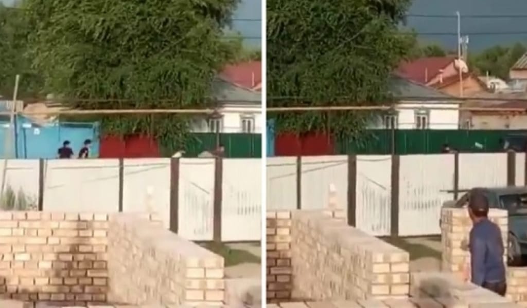 ҰЗЫНАҒАШ АУЫЛЫНДАҒЫ АТЫС МАУСЫМДА БОЛҒАН: ТЕРГЕУ ЖҮРІП ЖАТЫР