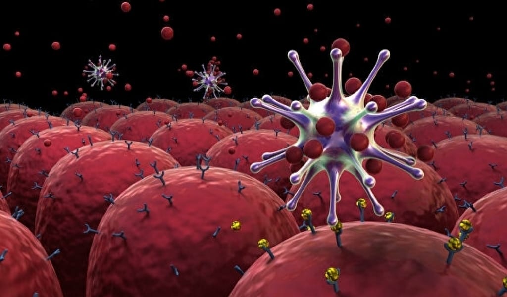 КОРОНАВИРУСПЕН АУЫРҒАНДАРДЫ ҚАБЫЛДАЙТЫН ЕКІ ОРТАЛЫҚ ЖАБЫЛДЫ