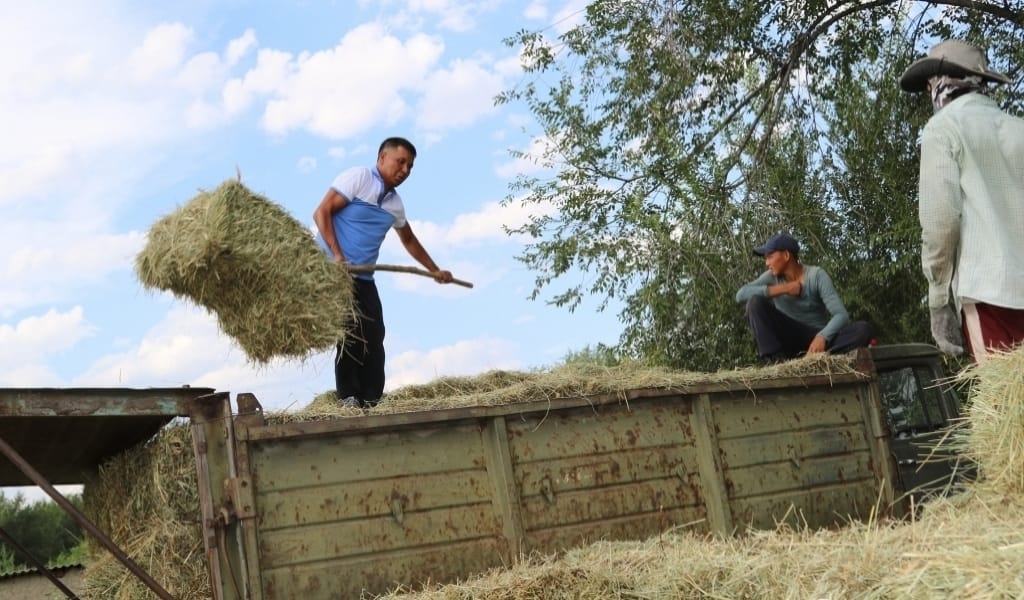 "ТАБЫСЫ ЖАҚСЫ": ҚАРАТАЛ АУДАНЫНЫҢ СТУДЕНТТЕРІ ШӨП ЖИНАП ЖҮР