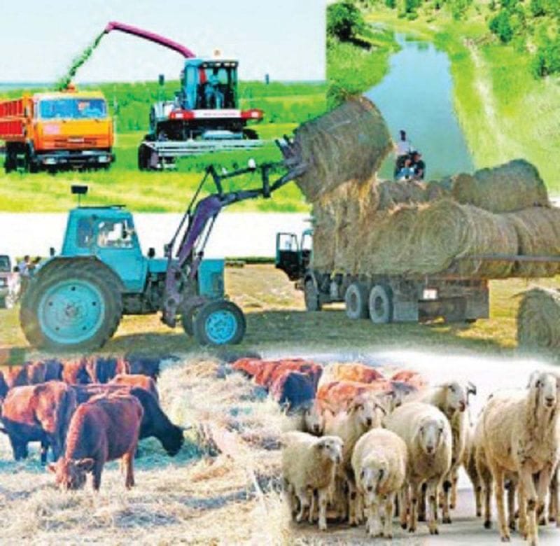 Ауыл кәсіпкерлері қолдауға мұқтаж