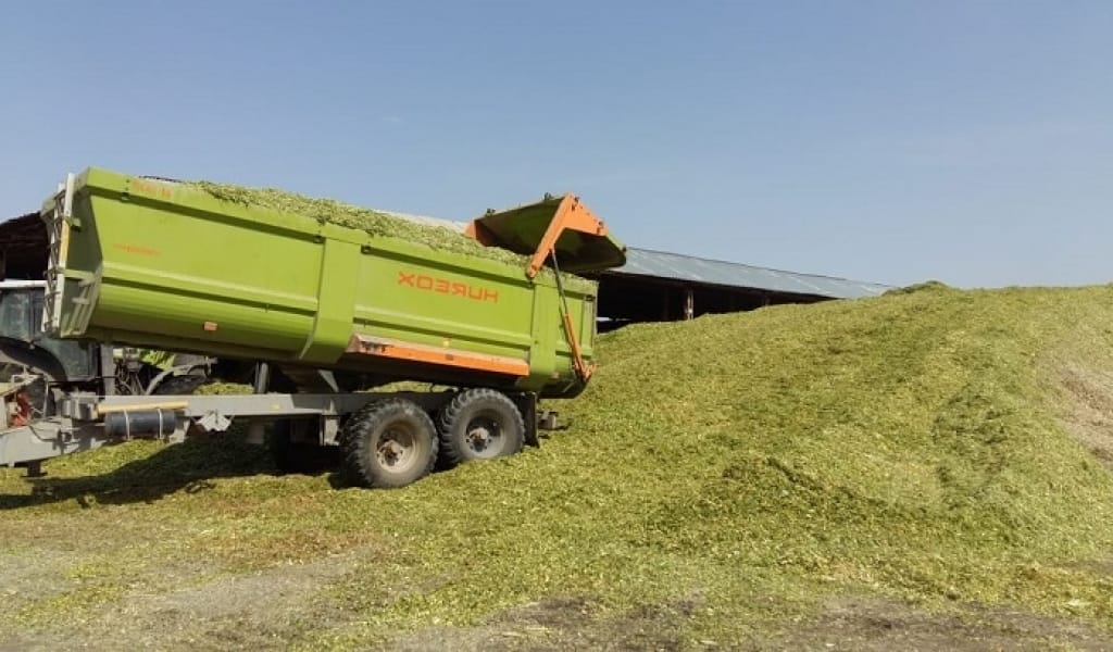 ТАЛҒАР АУДАНЫНДА ЖИЫН-ТЕРІН ЖҰМЫСЫ ҚЫЗУ ЖҮРІП ЖАТЫР