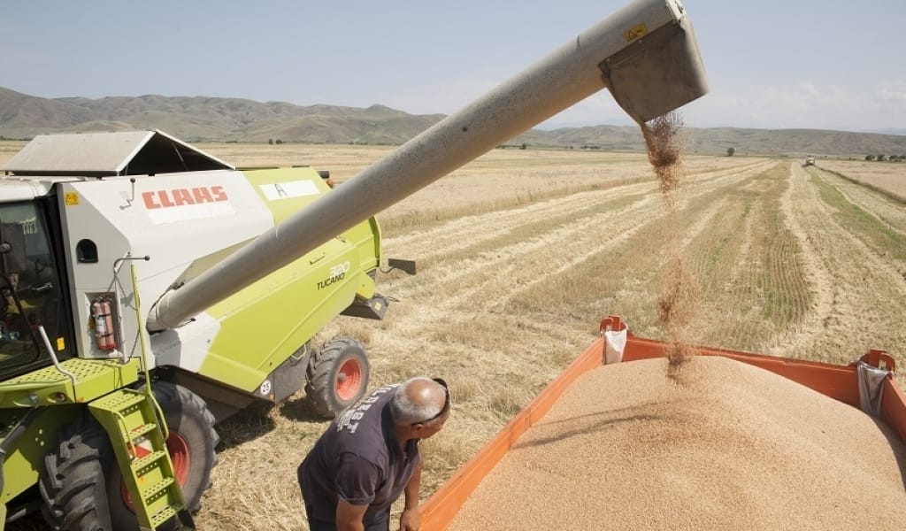 АУА РАЙЫНЫҢ ҚҰРҒАҚТЫҒЫНА ҚАРАМАСТАН БИЫЛ ӨНІМ КӨЛЕМІ МОЛ