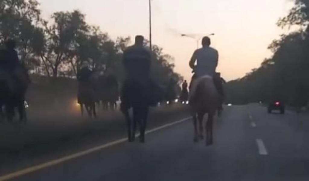 ҚАРАСАЙ АУДАНЫНЫҢ КӨКПАРШЫЛАРЫ ӘКІМШІЛІК ЖАЗАҒА ТАРТЫЛДЫ