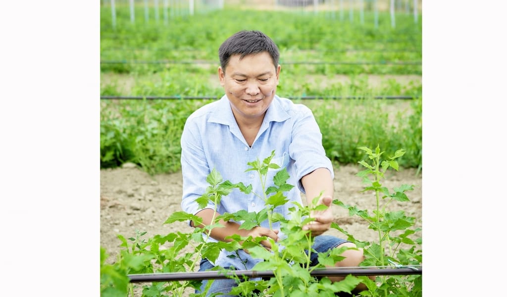 БІЗ АУЫЛ МЕН ҚАЛА АРАСЫНДАҒЫ ШЕГАРАНЫ ЖОЯТЫН БОЛАМЫЗ