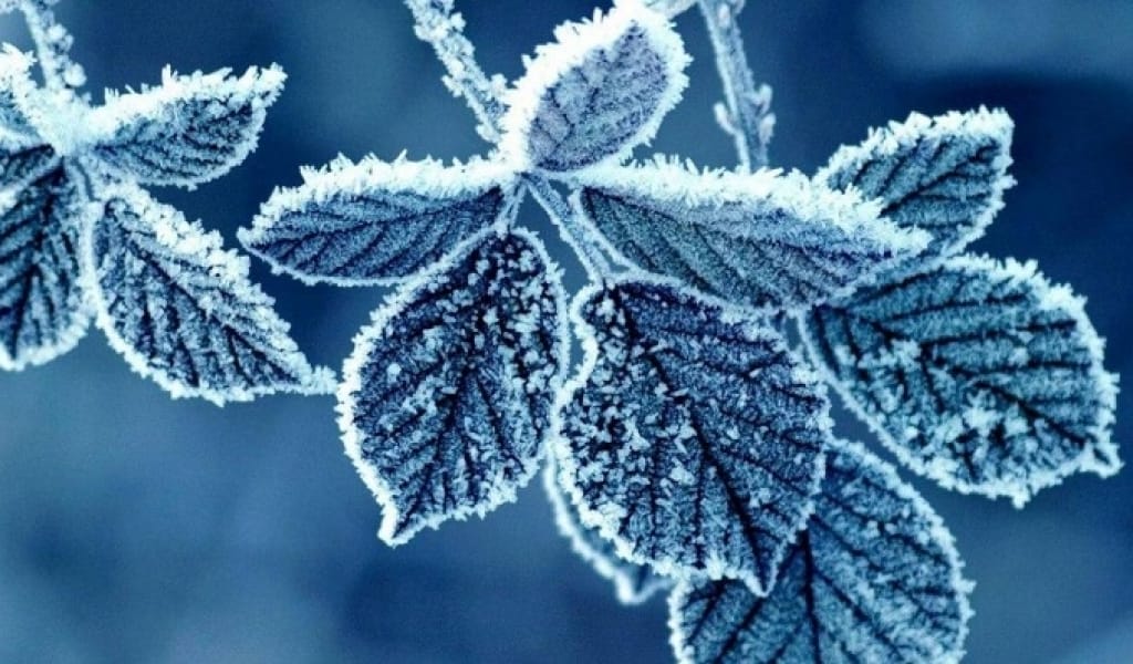 ЖЫЛЫ КИІНІҢІЗ: АЛМАТЫ ОБЛЫСЫНДА АЛДАҒЫ ҮШ КҮНДЕ ҮСІК ЖҮРЕДІ