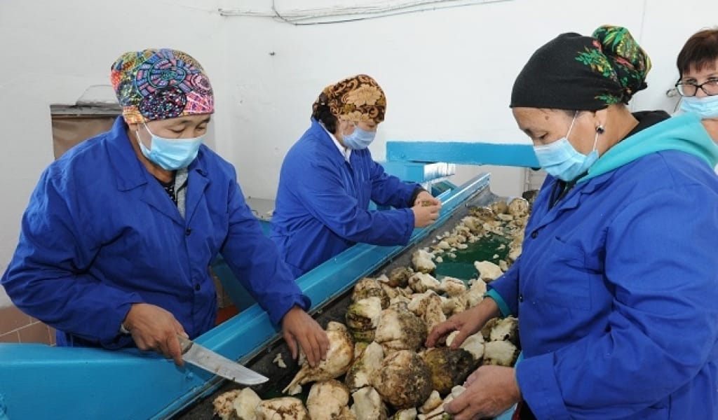 "ЖАБДЫҚТАРДЫ ЖАҢАЛАДЫҚ": АҚСУ ҚАНТ ЗАУЫТЫ ӨНІМ КӨЛЕМІН ЕКІ ЕСЕГЕ ҰЛҒАЙТПАҚ