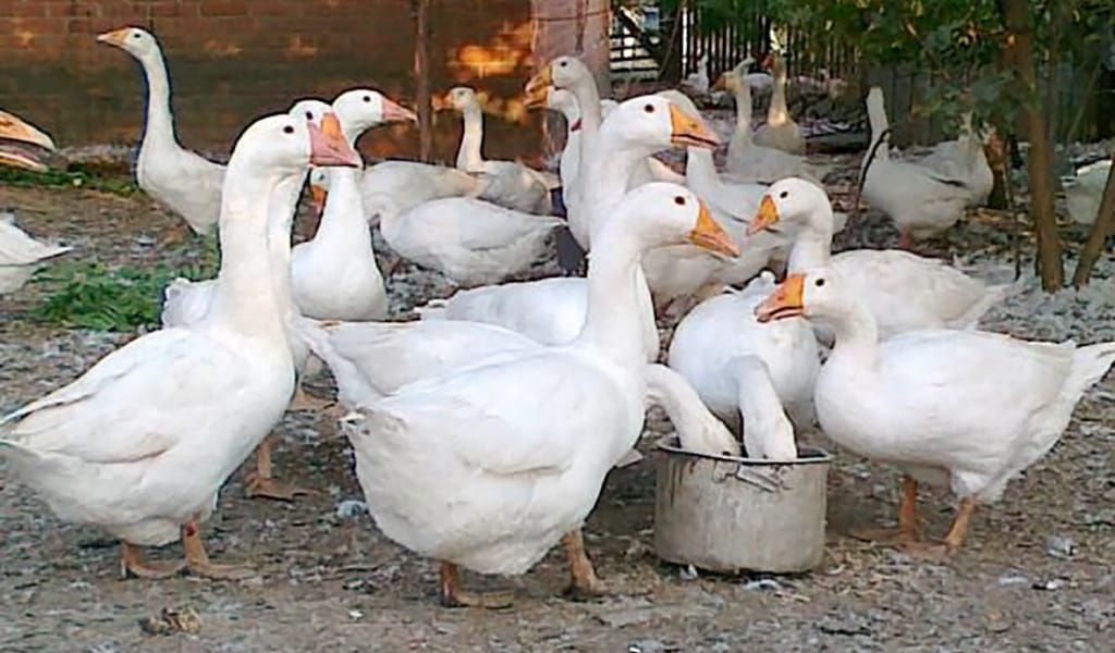 ЕҢБЕКПЕН ЖЕТКЕН МҰРАТҚА