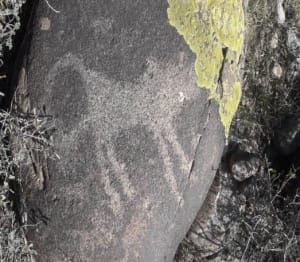 C:UsersUserDesktop4- тоқсан 2020жӨсек петроглифIMG-20200930-WA0078.jpg