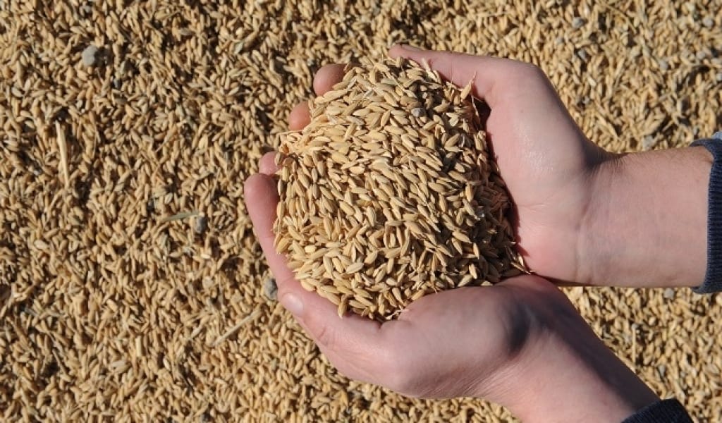 КӨШПЕЛІ БРИФИНГ: ЖУРНАЛИСТЕР БАЛҚАШ АУДАНЫНА БАРЫП ҚАЙТТЫ