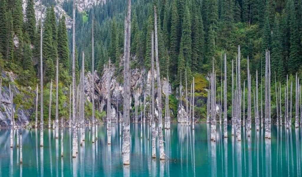 ТУРИЗМ: ҚАЙЫҢДЫҒА АПАРАР ЖОЛ ҚҰРЫЛЫСЫ 2021 ЖЫЛЫ БАСТАЛАДЫ