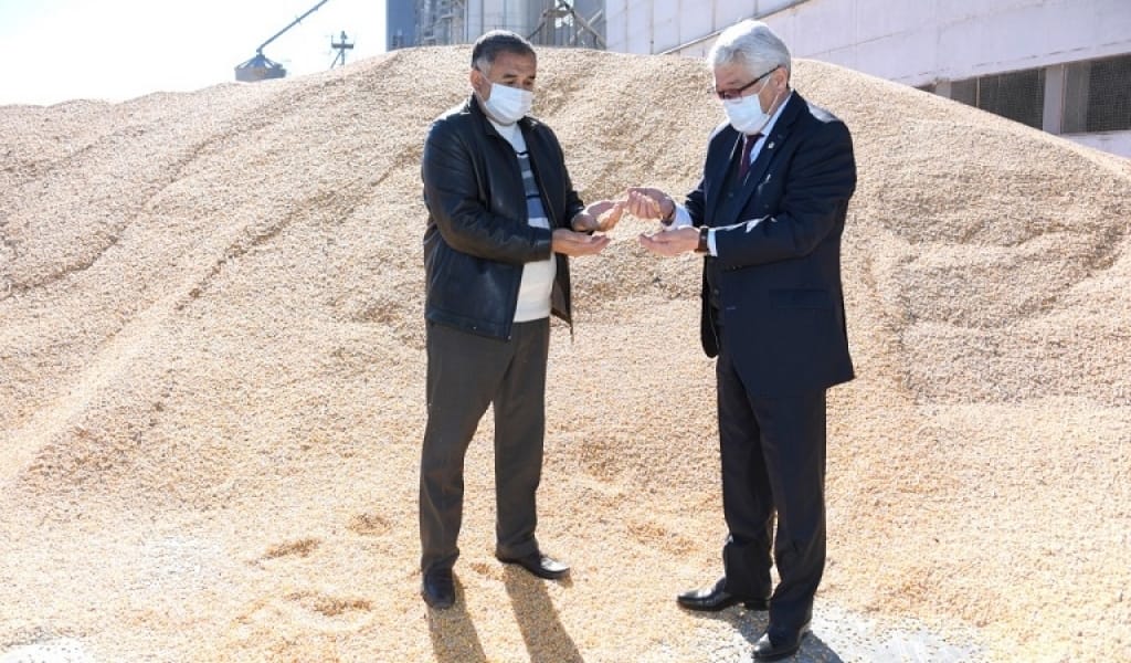 КӨШПЕЛІ БРИФИНГ: ЖАРКЕНТТІК ШАРУАЛАР БИЫЛ 26 МЫҢ ГЕКТАРҒА ЖҮГЕРІ ЕККЕН