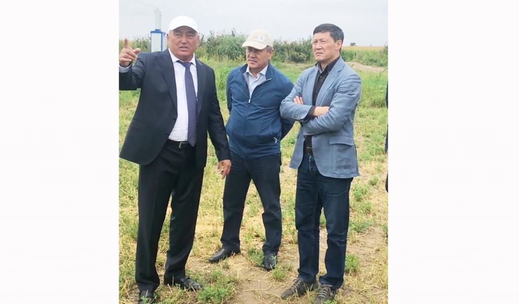 ЖҮГЕРІДЕН МОЛ ӨНІМ АЛЫНДЫ