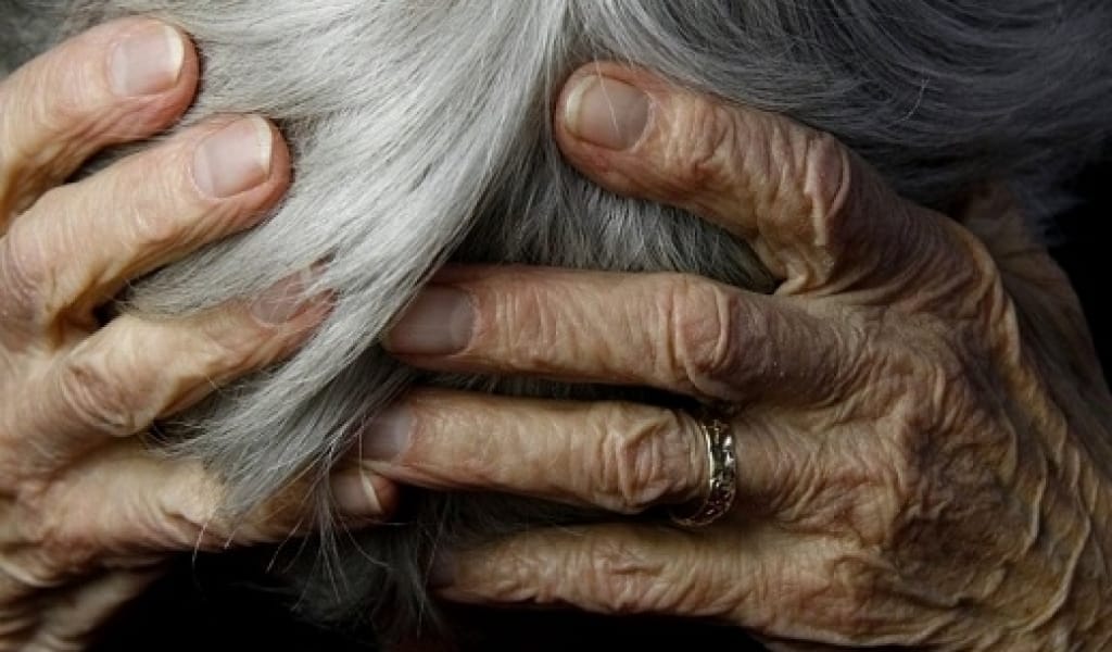 ТАЛҒАРДА СЕКСЕНГЕ ТАЯҒАН ӘЖЕГЕ ҚАРАҚШЫЛЫҚ ШАБУЫЛ ЖАСАЛДЫ