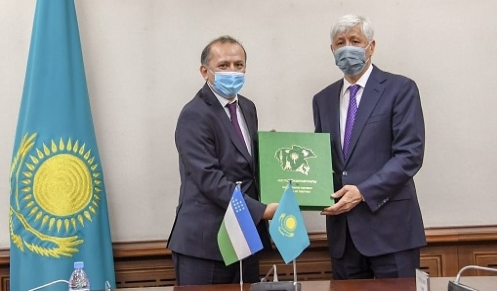 ӨЗБЕК ИНВЕСТОРЛАРЫ ЕРТЕ ПІСЕТІН ЖЕМІС-ЖИДЕК ӘКЕЛУГЕ ЫНТАЛЫ