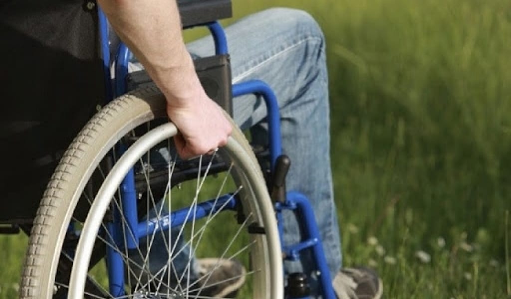 МҮГЕДЕК ЖАНДАРДЫ КҮТУШІЛЕРГЕ ДЕ ЖӘРДЕМАҚЫ ТАҒАЙЫНДАЛАДЫ