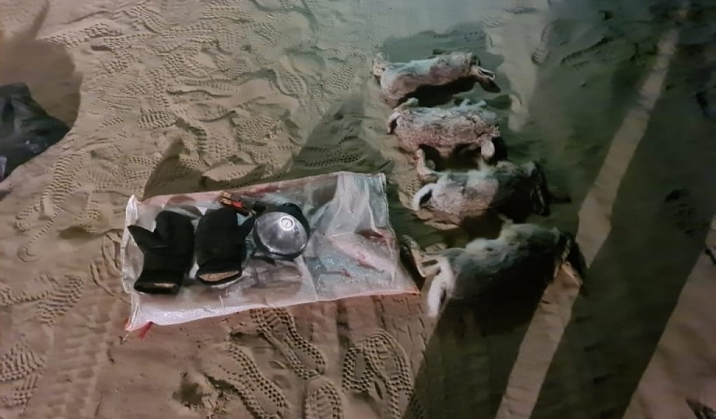 БАЛҚАШ АУДАНЫНДА РЕЙД ЖҮРГІЗІЛІП, БІРНЕШЕ АҢШЫ ЖАУАПҚА ТАРТЫЛДЫ