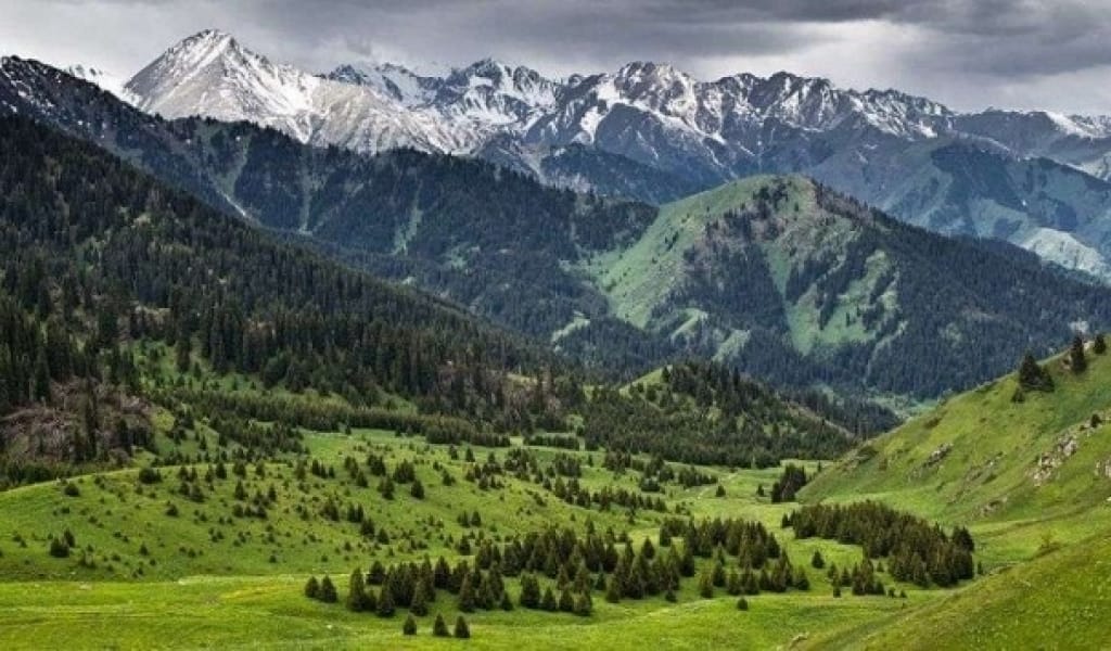 АЛМАТЫ ОБЛЫСЫНЫҢ ТАБИҒИ ПАРКТЕРІНДЕ ЖОБАЛЫҚ КЕҢСЕЛЕР АШЫЛАДЫ