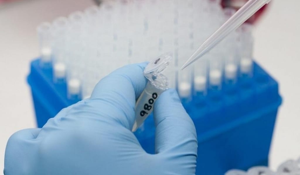 АЛМАТЫ ОБЛЫСЫНДА 906 АДАМ КОВИД БОЙЫНША ЕМ ҚАБЫЛДАП ЖАТЫР