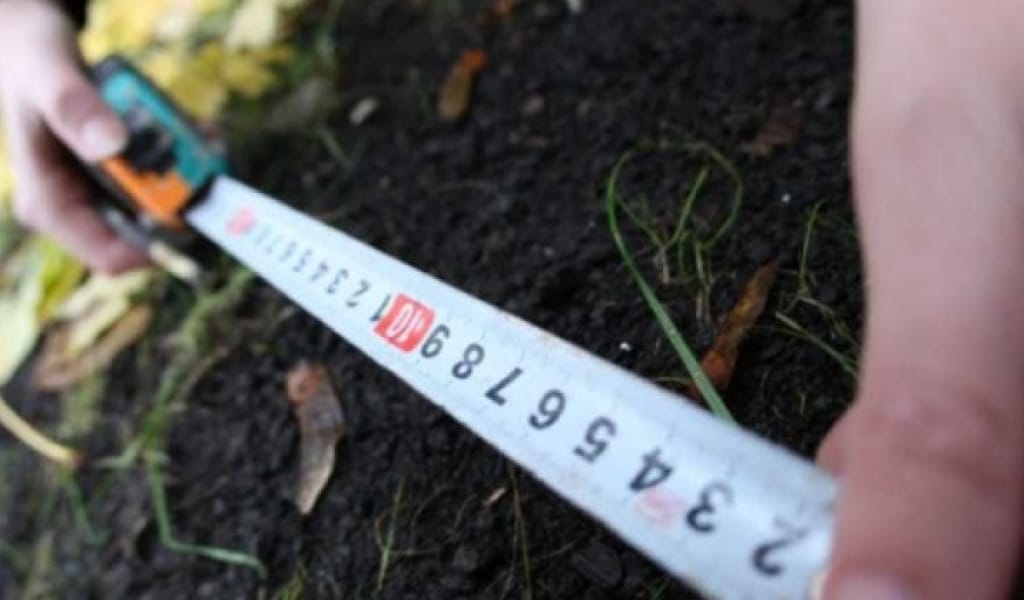 ТАЛДЫҚОРҒАННЫҢ ЖЕР ҚАТЫНАСТАРЫ БӨЛІМІНДЕ ЖЕМҚОРЛЫҚ АНЫҚТАЛМАДЫ