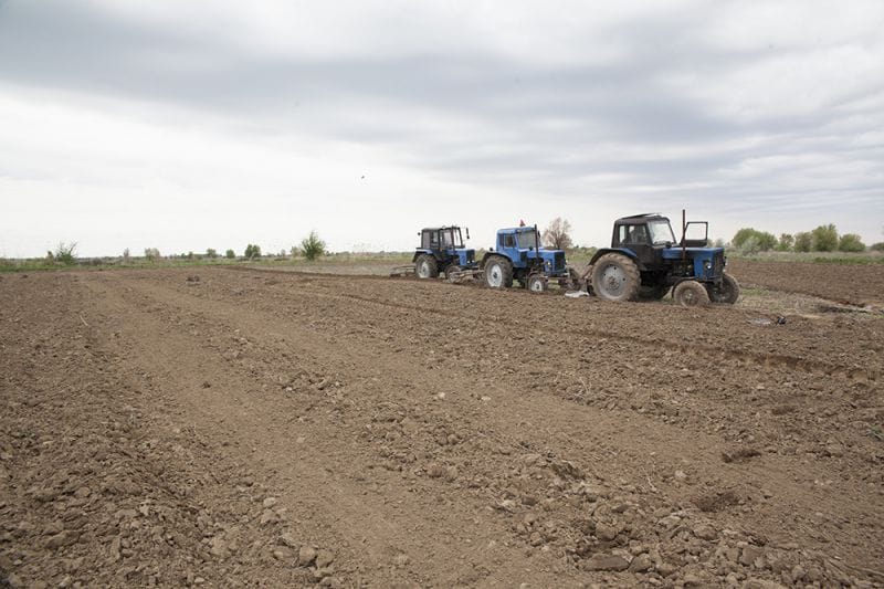 Егіс аяқталып келеді