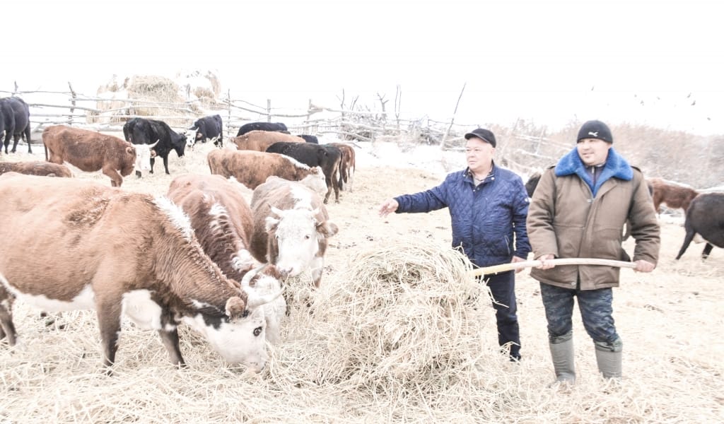 МАЛ АЗЫҒЫ ЖЕТКІЛІКТІ