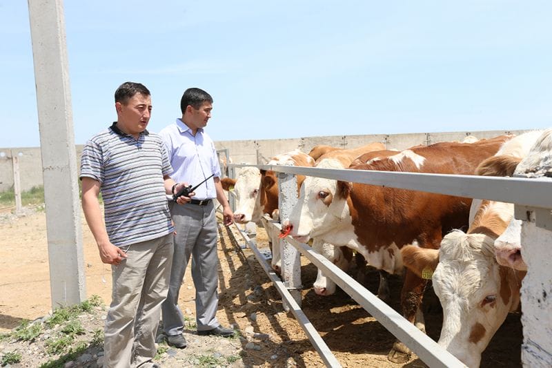 ТАСТӨБЕДЕГІ ТАБЫСТЫ ЖОБА