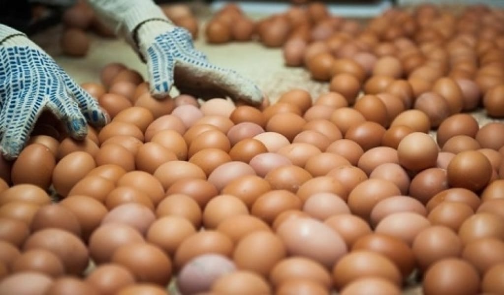 ӘРБІР КӘСІПОРЫН АДАЛ БӘСЕКЕЛЕСТІК ҚАҒИДАТТАРЫН ҰСТАНУЫ ТИІС