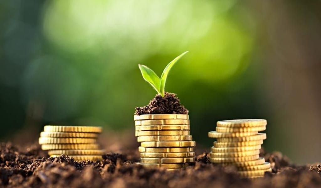 ЗЕЙНЕТАҚЫ ҚОРЫНАН АҚША ШЕШІП АЛУ ҮШІН ӨТІНІШ ҚАБЫЛДАУ БАСТАЛДЫ